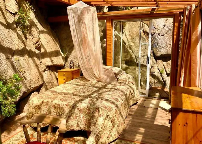 Rejuvenating Tree House Getaway With Pool Access In Prescott, Arizona