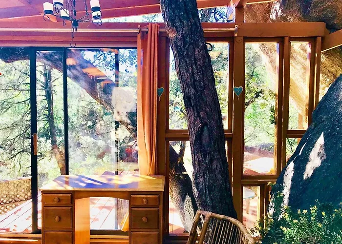 Dom wakacyjny Rejuvenating Tree House Getaway With Pool Access In Prescott, Arizona Prescott