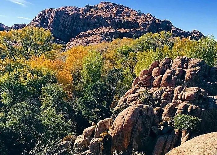 Rejuvenating Tree House Getaway With Pool Access In Prescott, Arizona