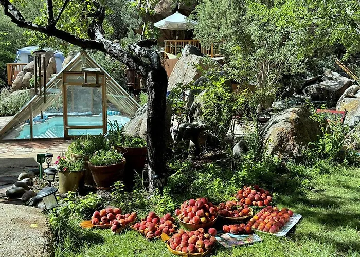 Dom wakacyjny Rejuvenating Tree House Getaway With Pool Access In Prescott, Arizona Prescott